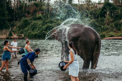 elephant camp in cambodia laos travel packages from india