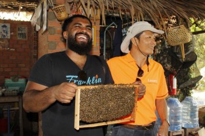 honeybee farm in mekong delta
