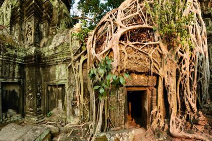 temple in angkor complex