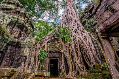 visit ta prohm temple in siem reap